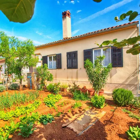 Padulj 1365 * 풀라